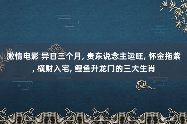 激情电影 异日三个月, 贵东说念主运旺, 怀金拖紫, 横财入宅, 鲤鱼升龙门的三大生肖