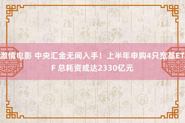 激情电影 中央汇金无间入手！上半年申购4只宽基ETF 总耗资或达2330亿元