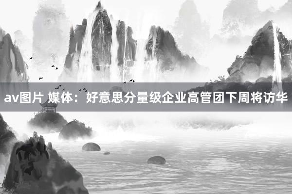 av图片 媒体：好意思分量级企业高管团下周将访华