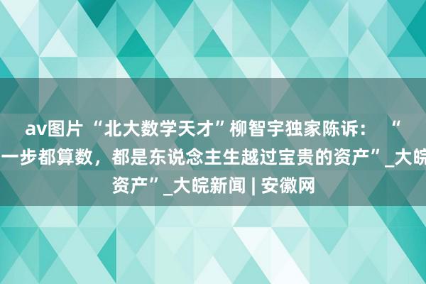 av图片 “北大数学天才”柳智宇独家陈诉：  “东说念主生每一步都算数，都是东说念主生越过宝贵的资产”_大皖新闻 | 安徽网