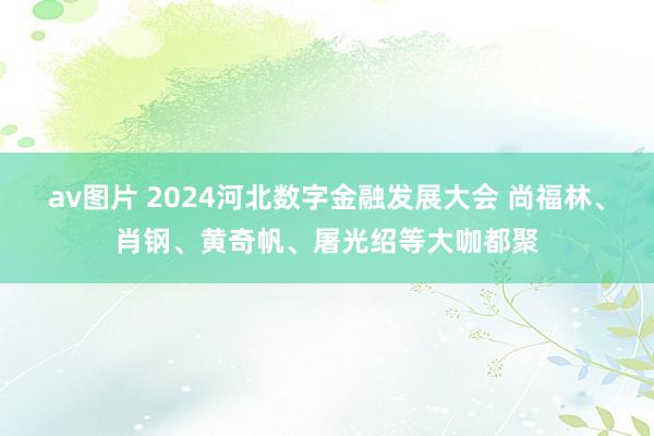 av图片 2024河北数字金融发展大会 尚福林、肖钢、黄奇帆、屠光绍等大咖都聚