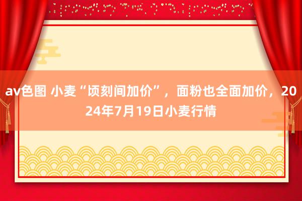 av色图 小麦“顷刻间加价”，面粉也全面加价，2024年7月19日小麦行情