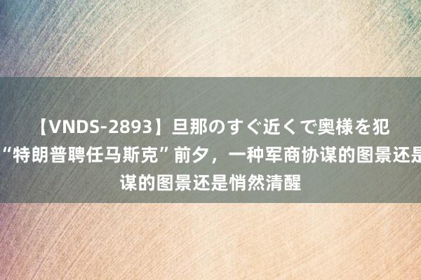 【VNDS-2893】旦那のすぐ近くで奥様を犯します。 “特朗普聘任马斯克”前夕，一种军商协谋的图景还是悄然清醒