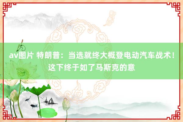 av图片 特朗普：当选就终大概登电动汽车战术！这下终于如了马斯克的意