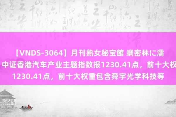 【VNDS-3064】月刊熟女秘宝館 蜩密林に濡れて淫らに踊る雌華火 中证香港汽车产业主题指数报1230.41点，前十大权重包含舜宇光学科技等