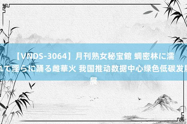 【VNDS-3064】月刊熟女秘宝館 蜩密林に濡れて淫らに踊る雌華火 我国推动数据中心绿色低碳发展