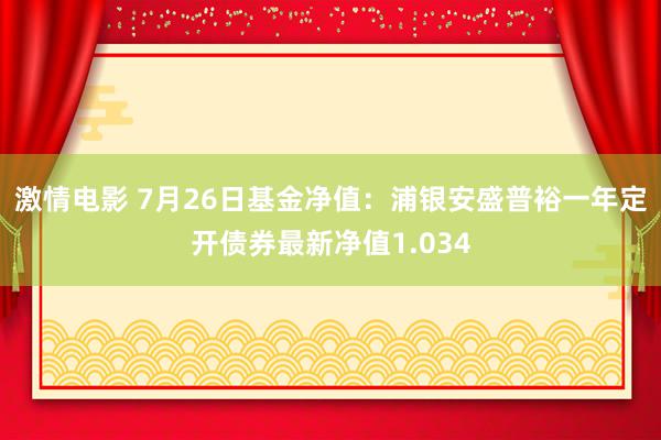 激情电影 7月26日基金净值：浦银安盛普裕一年定开债券最新净值1.034