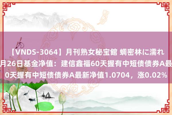 【VNDS-3064】月刊熟女秘宝館 蜩密林に濡れて淫らに踊る雌華火 7月26日基金净值：建信鑫福60天握有中短债债券A最新净值1.0704，涨0.02%