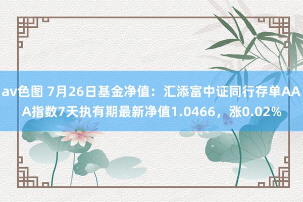 av色图 7月26日基金净值：汇添富中证同行存单AAA指数7天执有期最新净值1.0466，涨0.02%