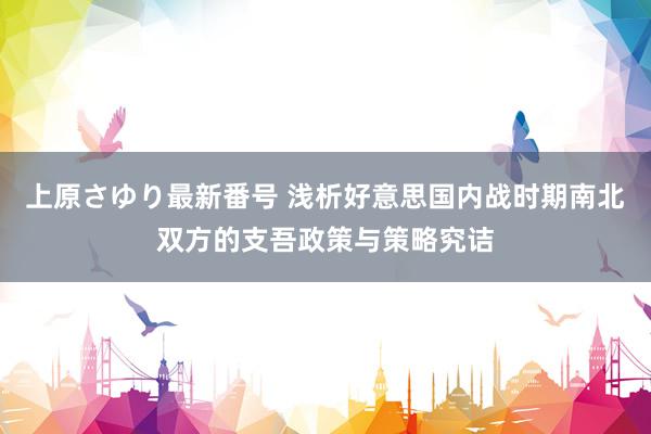 上原さゆり最新番号 浅析好意思国内战时期南北双方的支吾政策与策略究诘