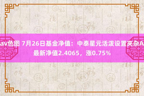 av色图 7月26日基金净值：中泰星元活泼设置夹杂A最新净值2.4065，涨0.75%