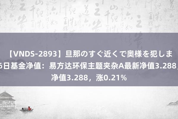 【VNDS-2893】旦那のすぐ近くで奥様を犯します。 7月26日基金净值：易方达环保主题夹杂A最新净值3.288，涨0.21%