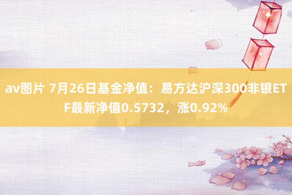 av图片 7月26日基金净值：易方达沪深300非银ETF最新净值0.5732，涨0.92%