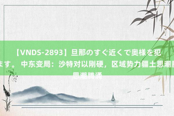 【VNDS-2893】旦那のすぐ近くで奥様を犯します。 中东变局：沙特对以刚硬，区域势力疆土思潮腾涌