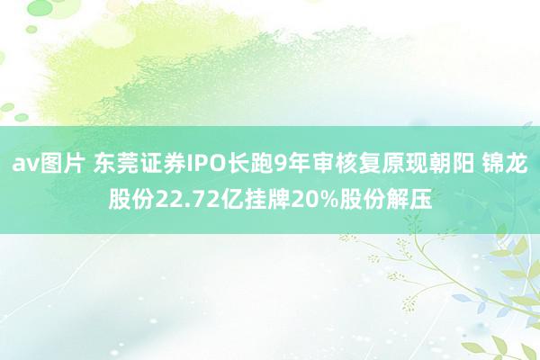 av图片 东莞证券IPO长跑9年审核复原现朝阳 锦龙股份22.72亿挂牌20%股份解压