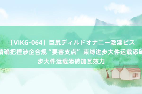 【VIKG-064】巨尻ディルドオナニー激淫ピストン DX 精确把捏涉企合规“要害支点” 束缚进步大件运载添砖加瓦效力