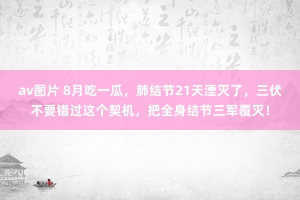 av图片 8月吃一瓜，肺结节21天湮灭了，三伏不要错过这个契机，把全身结节三军覆灭！