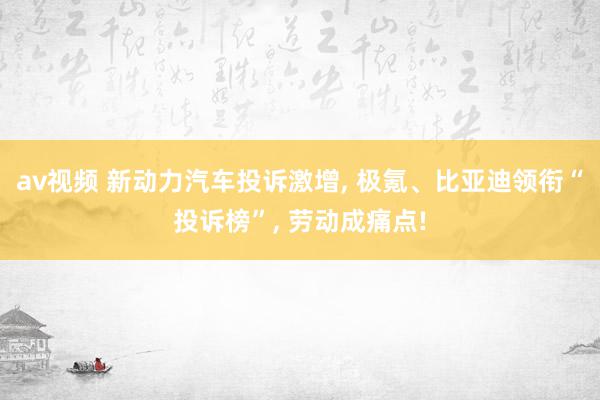 av视频 新动力汽车投诉激增, 极氪、比亚迪领衔“投诉榜”, 劳动成痛点!