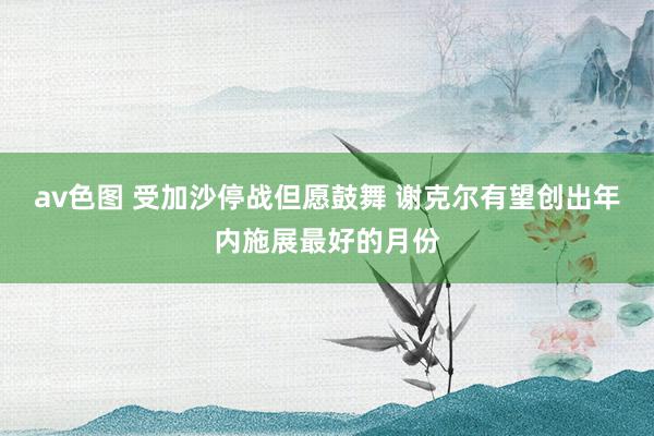 av色图 受加沙停战但愿鼓舞 谢克尔有望创出年内施展最好的月份