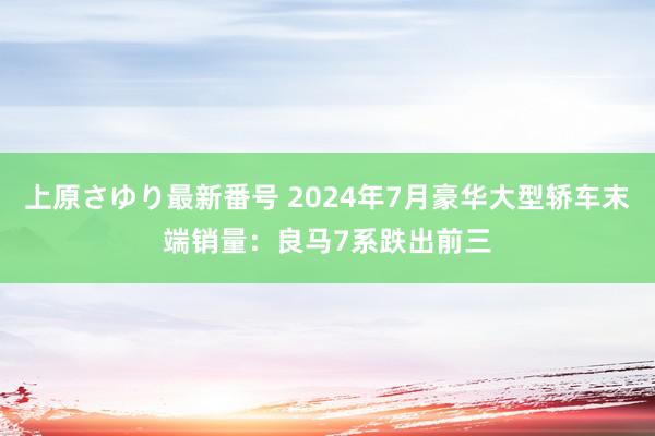 上原さゆり最新番号 2024年7月豪华大型轿车末端销量：良马7系跌出前三