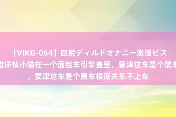 【VIKG-064】巨尻ディルドオナニー激淫ピストン DX 当今不错详情小猫在一个面包车引擎盖里，要津这车是个黑车根底关系不上车